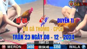 Bé 3 Vũng Tàu Vs Duyên Ti - Đá Gà Thomo CPC3 Trận 23 Ngày 08/12/2024