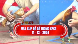 Full Clip Đá Gà CPC3 Thomo Campuchia Hôm Nay 11/12/2024