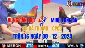 Hưng Cần Thơ Vs Minh Long An - Đá Gà Thomo CPC3 Trận 16 Ngày 8/12/2024