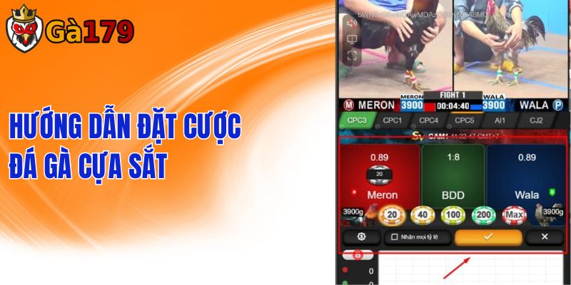 Hướng dẫn chơi đá gà cựa sắt trực tuyến tại GA179