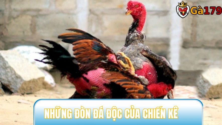 Những thế đá đòn độc phổ biến